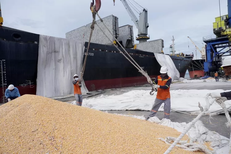 Ekspor Perdana Jagung ke Vietnam, Pelindo Multi Terminal Catat Capaian Bersejarah