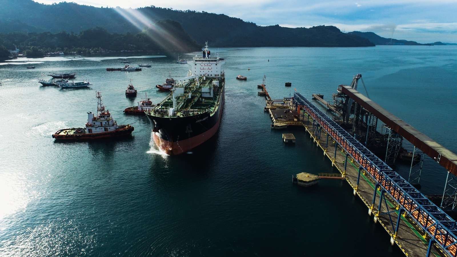 Arus Kargo Curah Cair Pelindo Naik 4,8%, Ekspor Minyak Sawit Makin Lancar