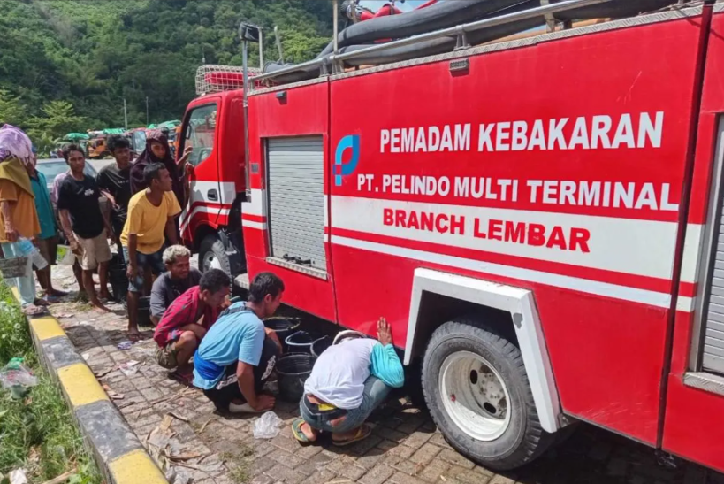Pelindo perkuat koordinasi pengangkutan sapi dari NTB ke Jawa