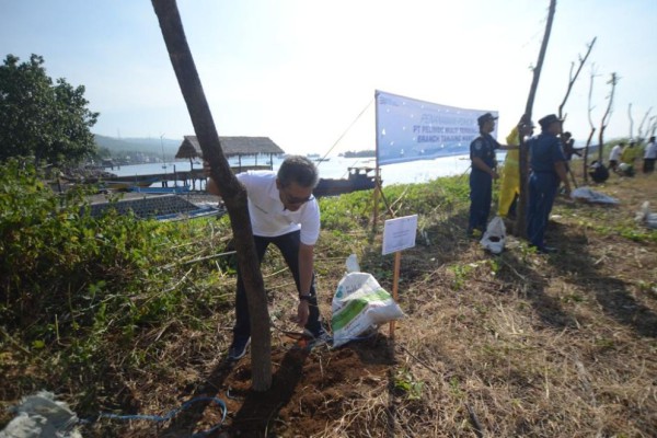Jaga Kualitas Lingkungan, Pelindo Multi Terminal Hijaukan Pelabuhan Tanjung Wangi