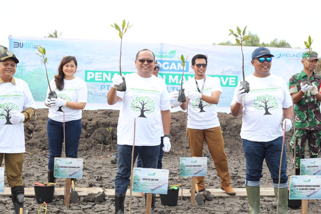 Hari Menanam Pohon Nasional, Pelindo Multi Terminal Tanam 8 Ribu Bibit Mangrove di Kalimantan